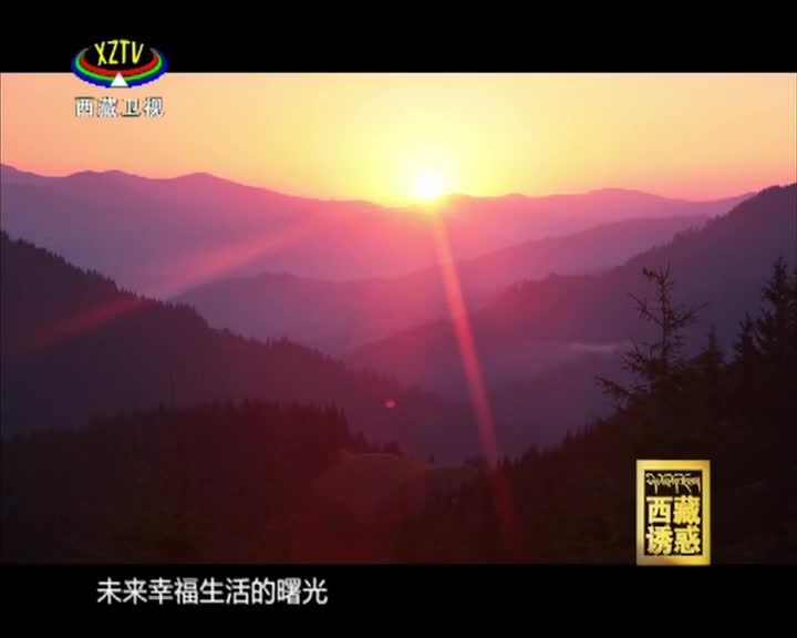《西藏诱惑》16个证书讲出自强故事